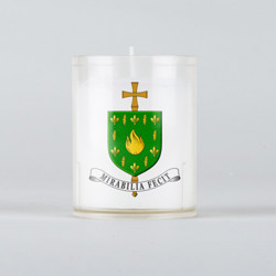 Carton 192 V. n°36 Evêché de Tournai